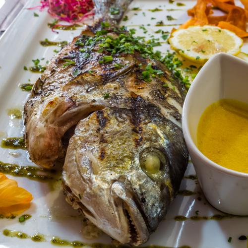Dorade Royale entière grillée